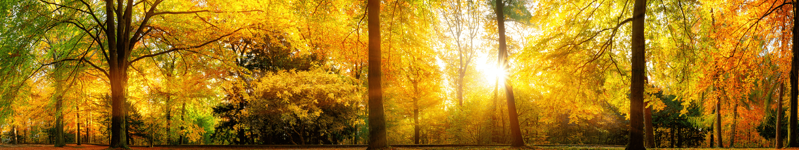 Banner Vakantiehuis oktober